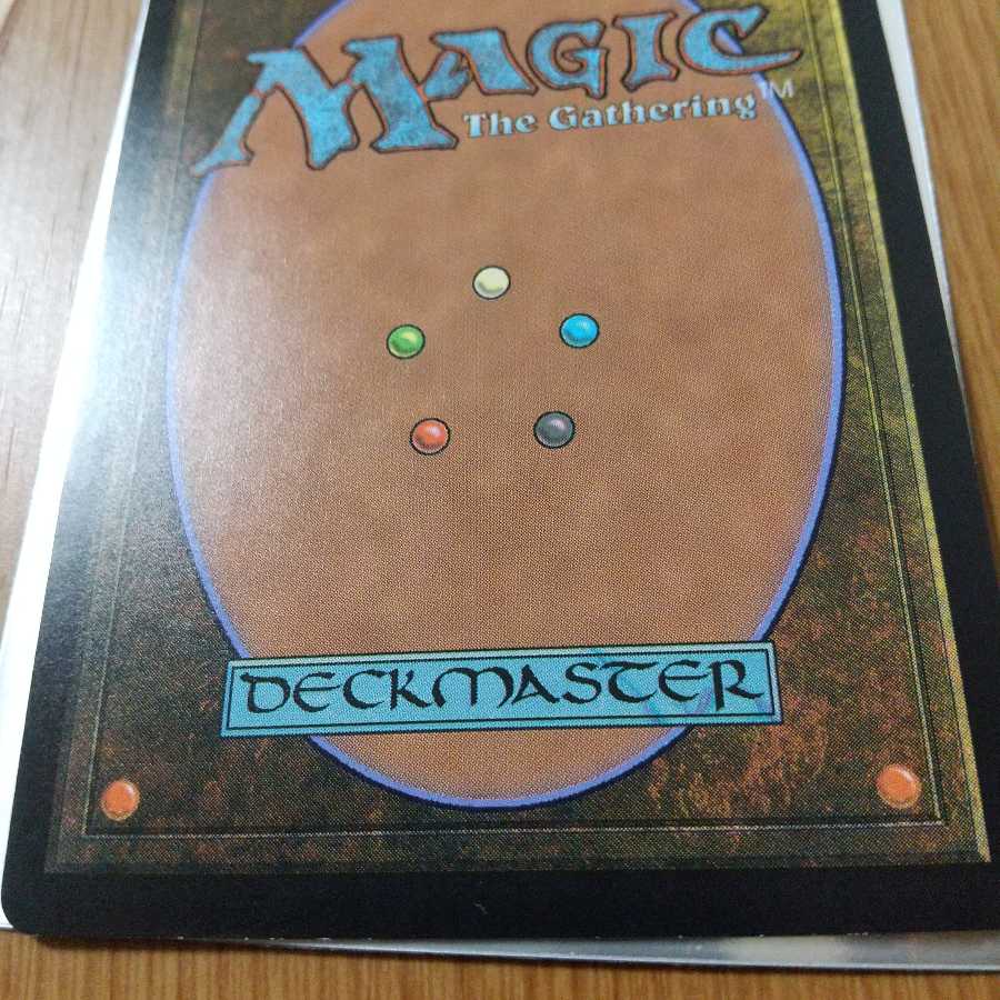 uri5137様専用　呪文探求者 レア　英語版　1枚