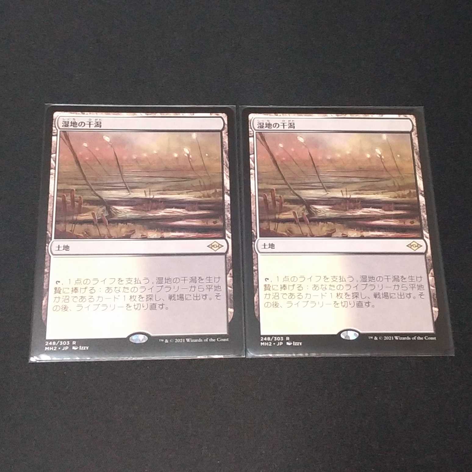 湿地の干潟2枚セット