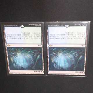 霧深い雨林2枚セット