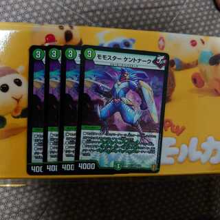 Momostar Kentonark VR, set of 4