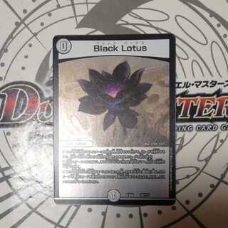 Black Lotus