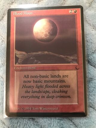 珈琲のお供様専用　Blood Moon 1枚