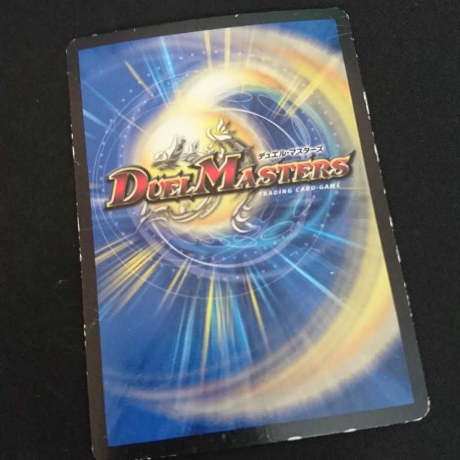 エスカルデン 1枚