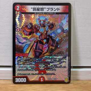 訳あり“罰星怒”ブランド1枚