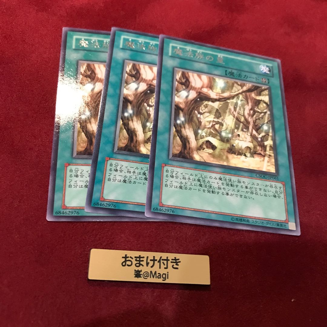 魔法族の里 レア