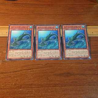 エクシーズ・リモーラ ノーマル 3枚