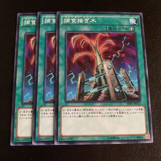 捕食接ぎ木 ノーマル