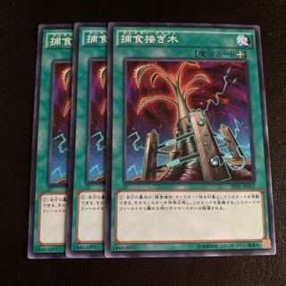 捕食接ぎ木 ノーマル