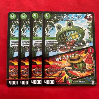 イッコダス・ケイジ｜種デスティニー