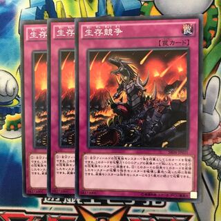 生存競争 3枚