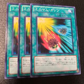 ミニマム・ガッツ ノーマル