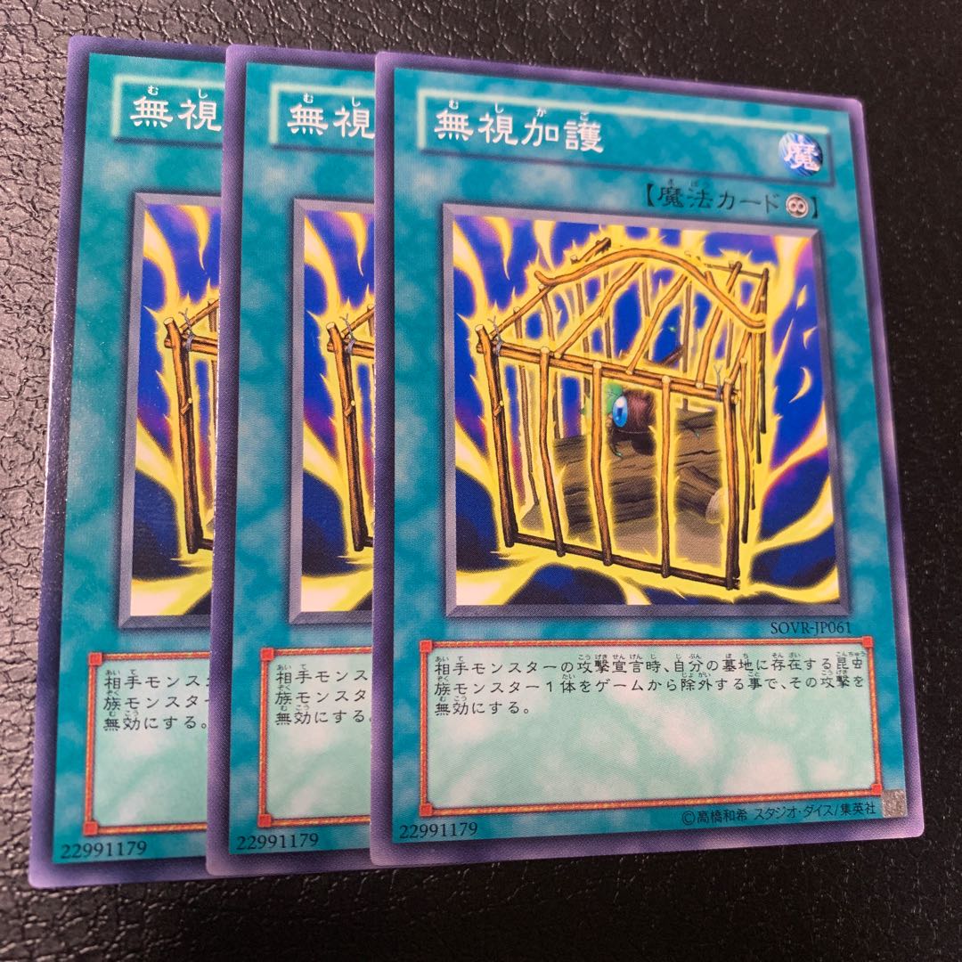 無視加護 ノーマル