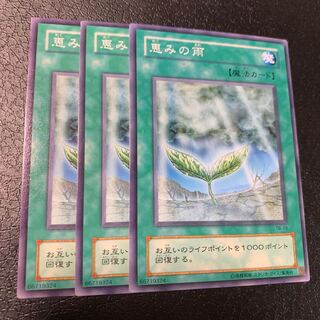 恵みの雨 ノーマル