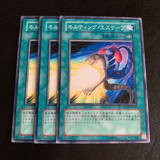 モルティング・エスケープ ノーマル