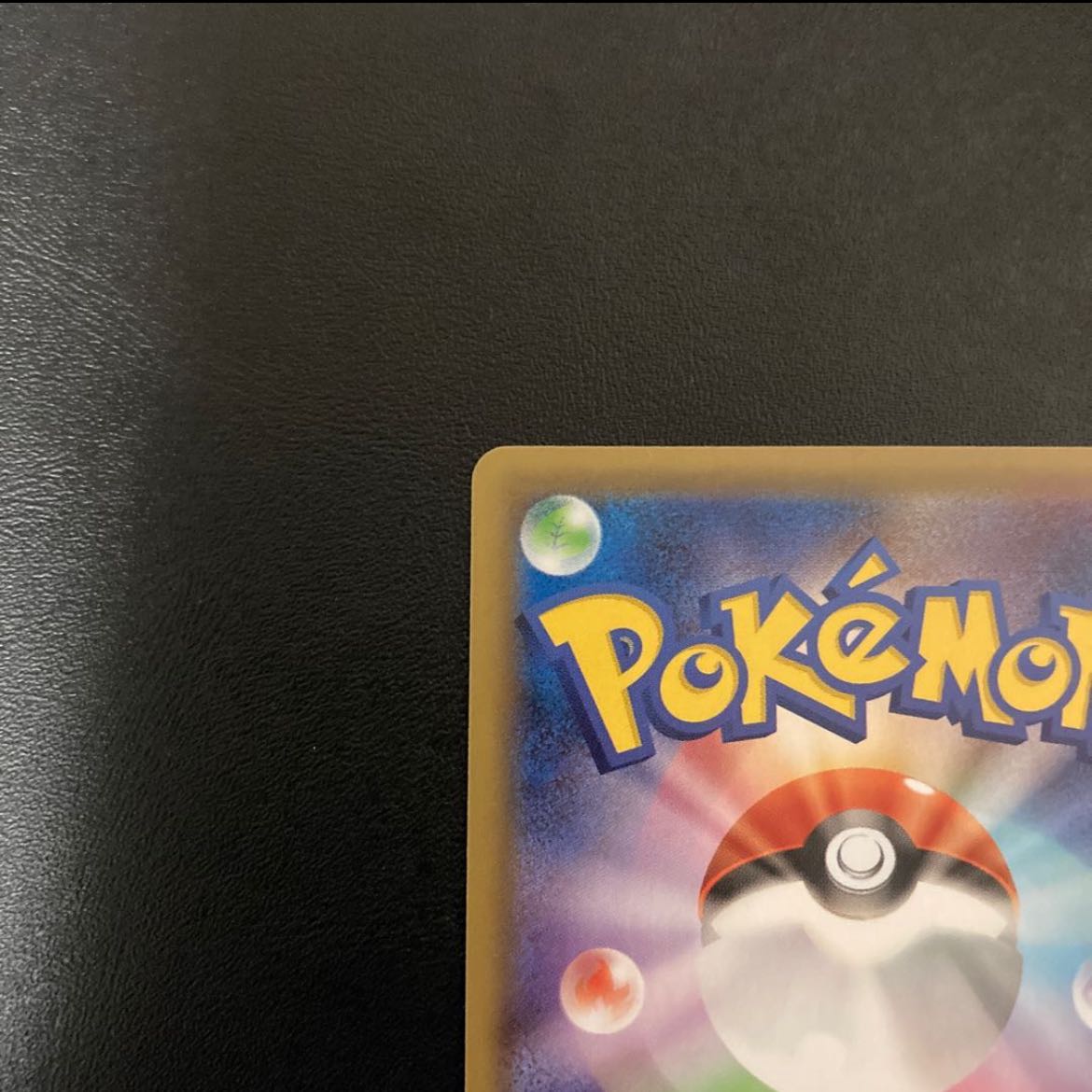 アローラの仲間たち