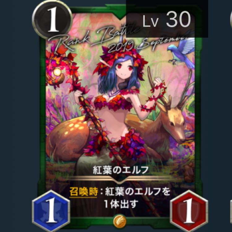 紅葉のエルフ lv.30