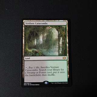 新緑の地下墓地