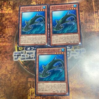 遊戯王★エクシーズ・リモーラ★ノーマル三枚