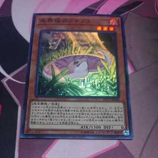 Danger! Tsuchinoko? Super Rare