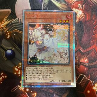 灰流うらら 20th シークレット シク 灰流うらら 20th シークレットレア PSA10の通販 UCC（1605657357