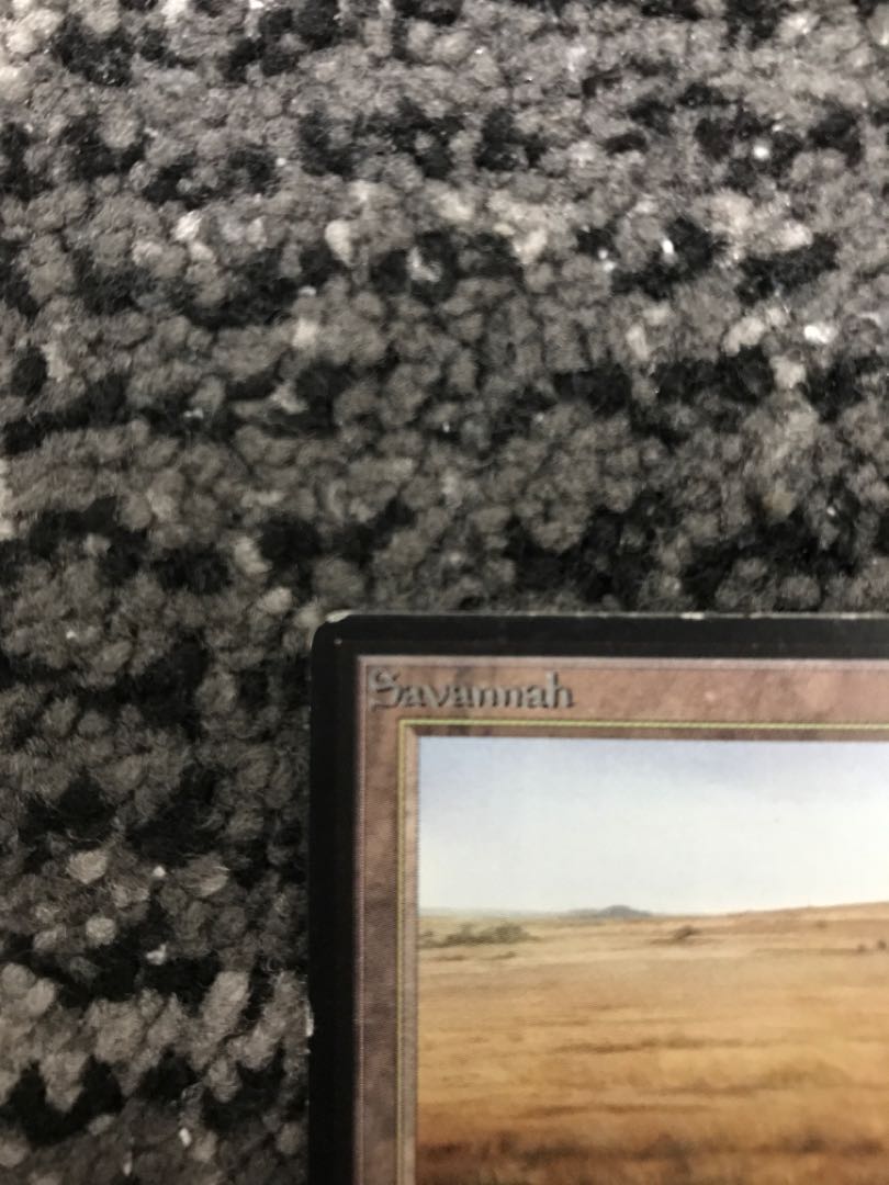 savannah beta LEB beta