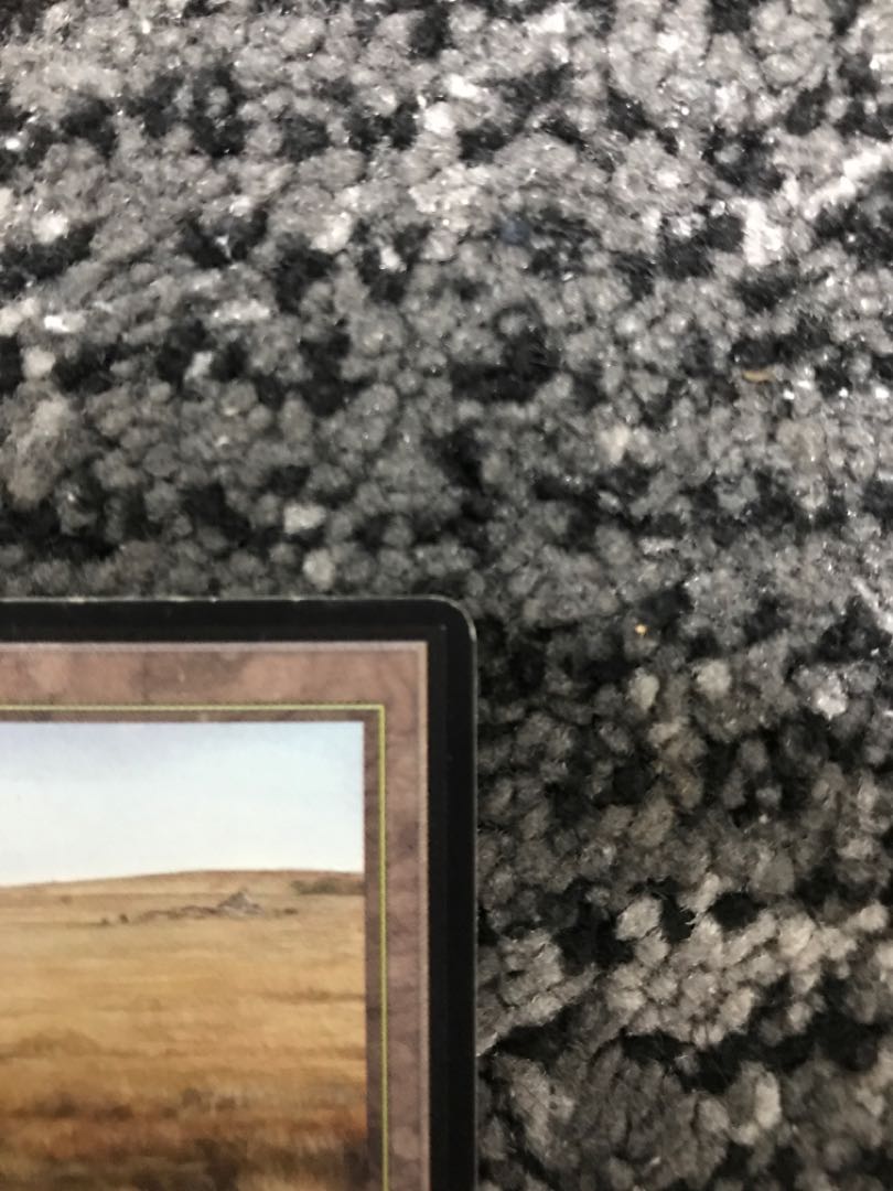 savannah beta LEB beta