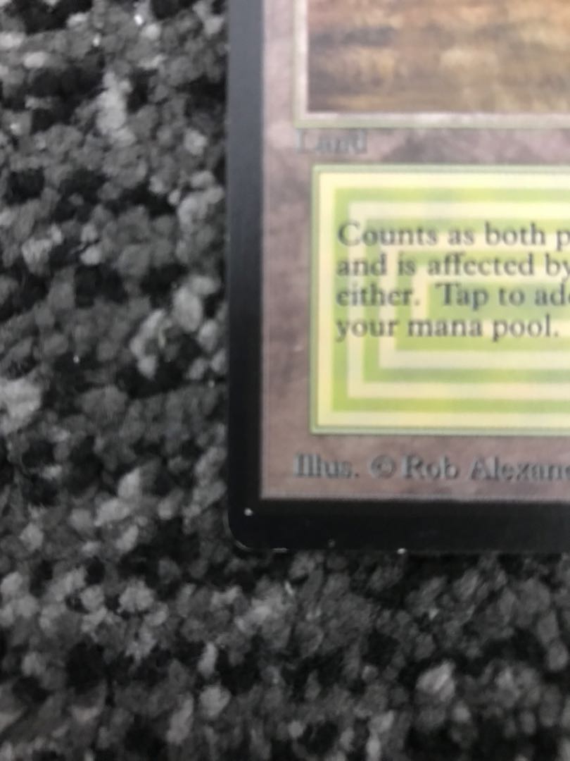 savannah beta LEB beta