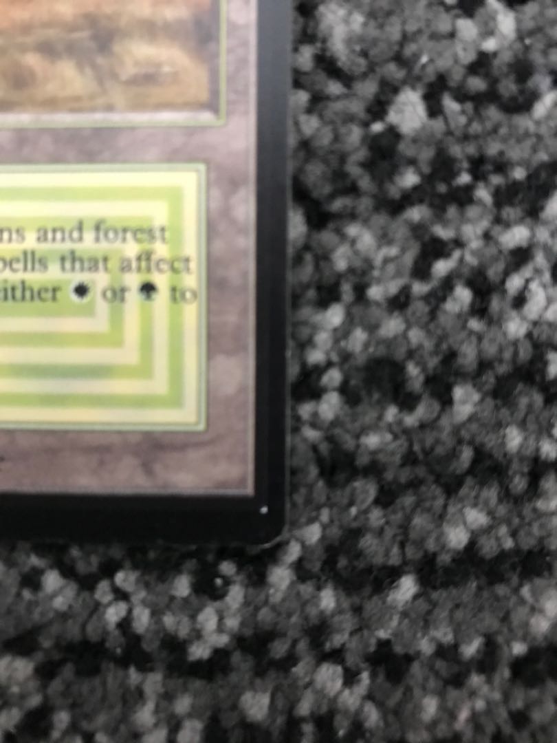 savannah beta LEB beta