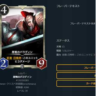 歴戦のパラディン　【クリプトスペルズ】