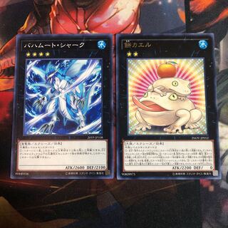 バハムート・シャーク　餅カエル