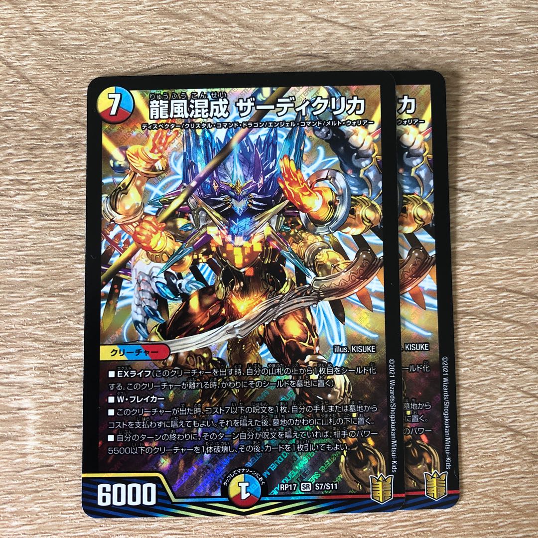 龍風混成 ザーディクリカ【追跡あり】