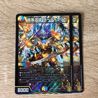 龍風混成 ザーディクリカ【追跡あり】