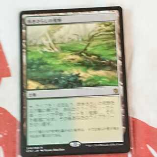 【MTG】吹きさらしの荒野