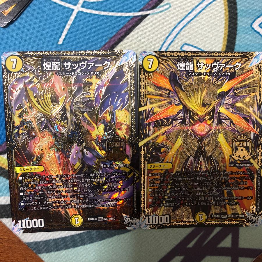 煌龍 サッヴァーク