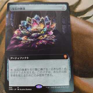 宝石の睡蓮 拡張アート