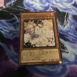 遊戯王 灰流うらら ノーマル