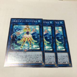 海晶乙女コーラルアネモネ ノーマル