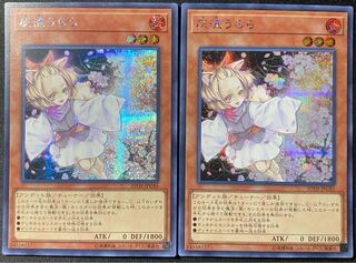 遊戯王 灰流うらら シークレット ➁