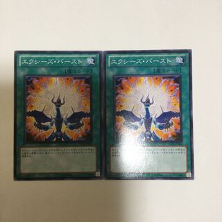 エクシーズ・バースト　２枚