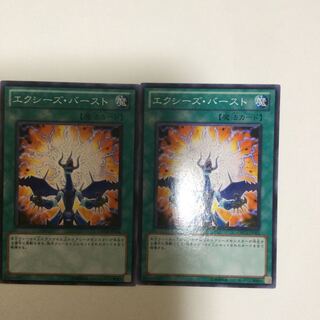 エクシーズ・バースト　２枚