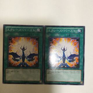 エクシーズ・バースト　２枚