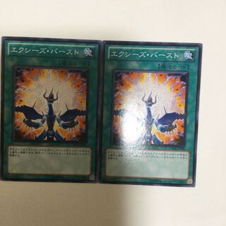エクシーズ・バースト　２枚