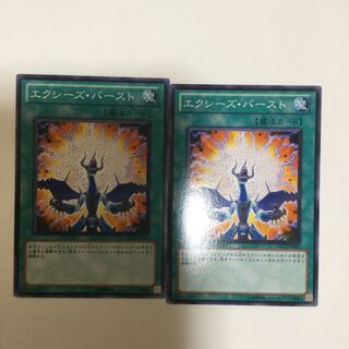 エクシーズ・バースト　２枚