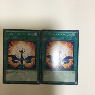 エクシーズ・バースト　２枚