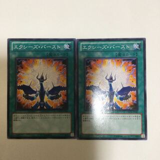 エクシーズ・バースト　２枚