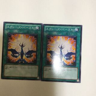 エクシーズ・バースト　２枚
