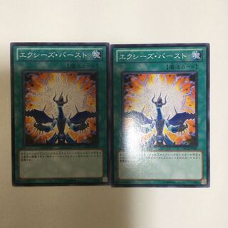エクシーズ・バースト　２枚