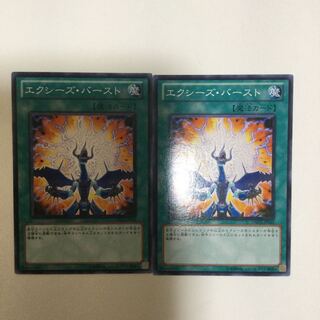 エクシーズ・バースト　２枚