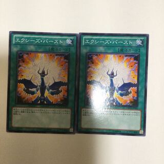 エクシーズ・バースト　２枚