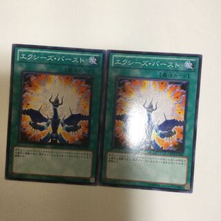 エクシーズ・バースト　２枚